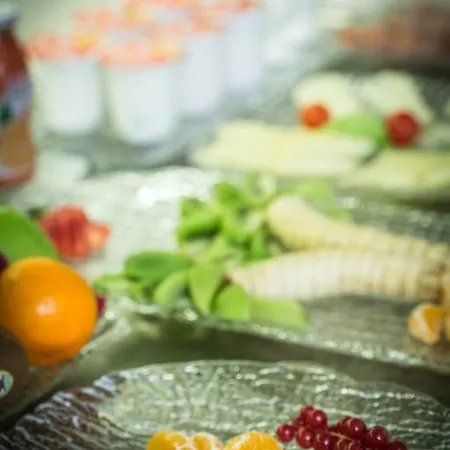 Western Premier Milano Palace 4* Modena