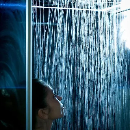 精品米兰皇宫贝斯特韦斯特酒店 4*